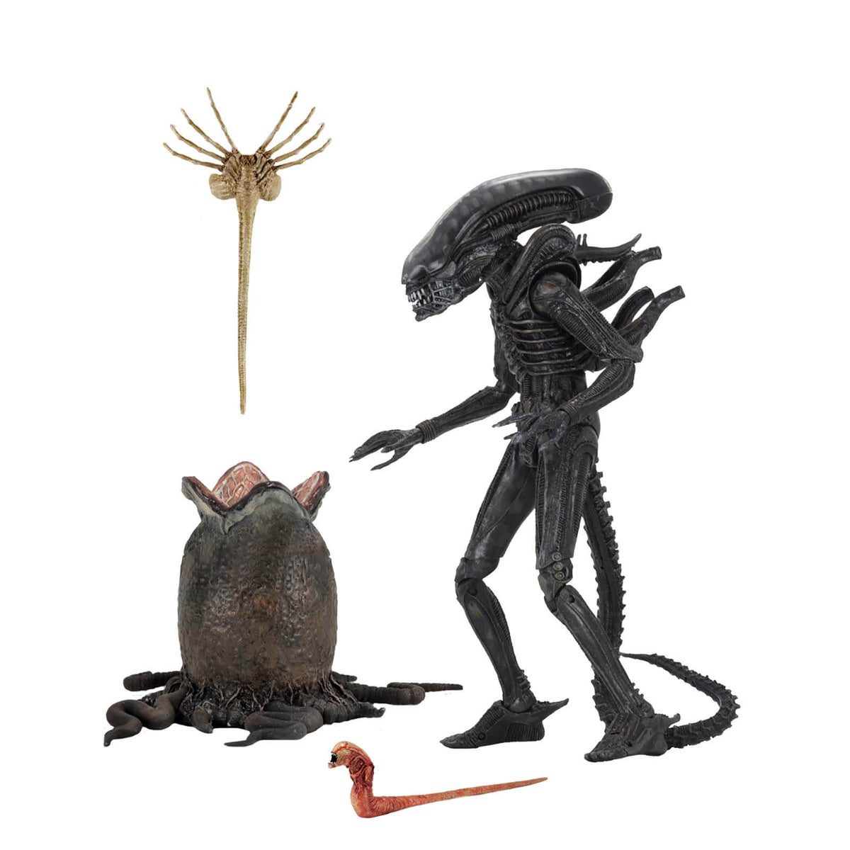Alien - 7"  Ultimate 40th Anniversary Big Chap Figure