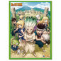 DR. STONE- KEY ART WALL SCROLL